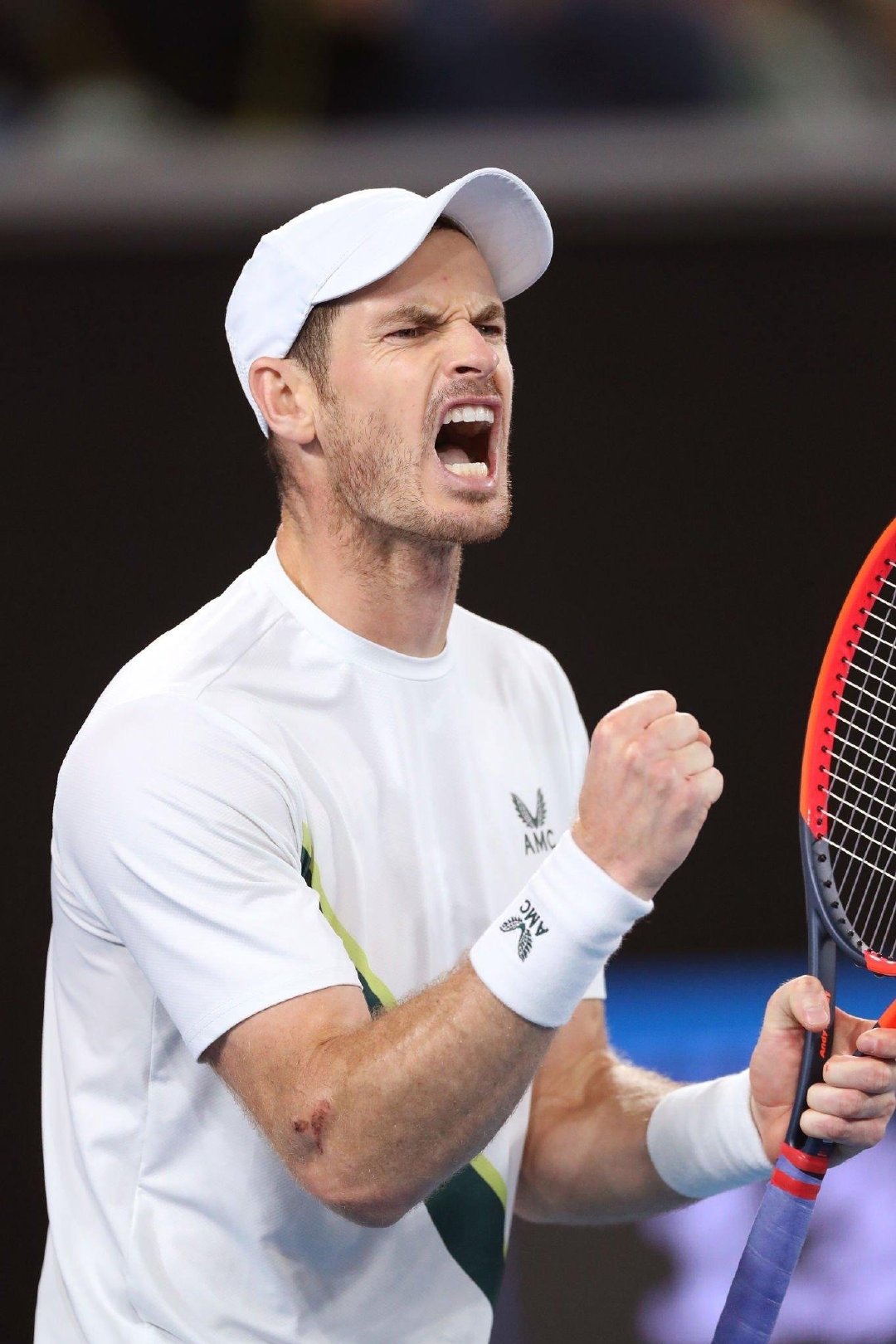 雷速网球直播-戴维斯杯逆转澳网，穆雷统治全场